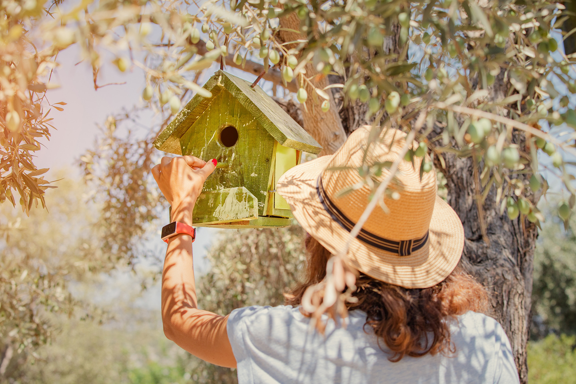 Cuidando la fauna entre los olivos